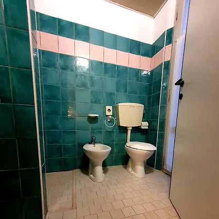 Lively Hotell